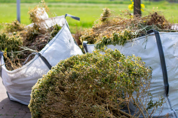 Best Yard Cleanup Services  in Presquille, LA